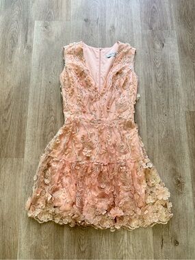 helsi anna pale pink 3d floral applique sequin v-neck mini dress size XS NEW